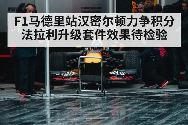 formula 1 pit stop crew